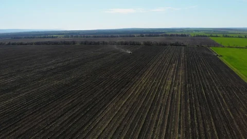 Large fields of grapes. General view from the top, the tractor is working. 库存影片 129509852