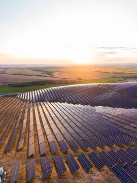 Large fields of solar panels are arranged in rows at a renewable energy farm. Stock-Fotos