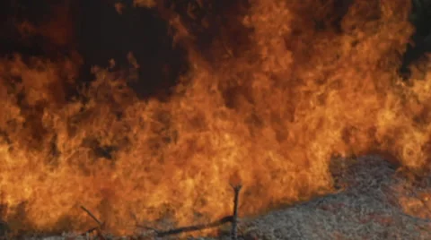 Large fire blaze Almond Branches Burn next to field flames slowed down Stock-Footage 67598519