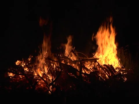 Large Fire Burning at Night Stock Footage 51680837