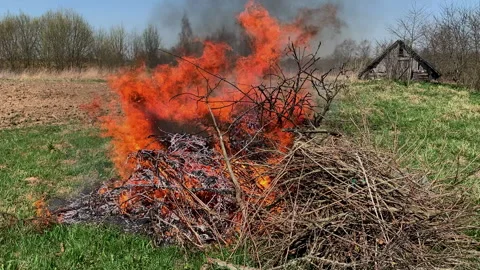 A large fire of dry grass is burning, forest fires. Stock Footage 310652744