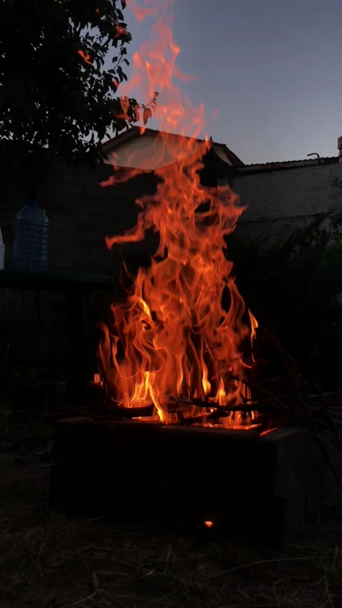 A large fire made of dry branches, tongues of yellow-orange flames tend upwards Stock Footage 241186697