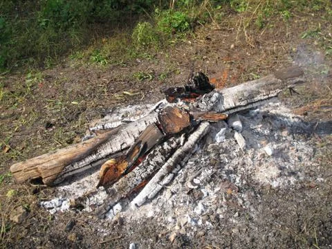 Large fire made of logs Stock-Fotos