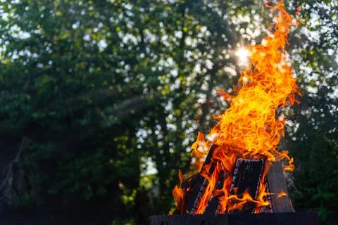 A large fire made of planks. Stock Photos