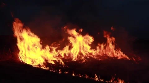 Large fire nature. Stock Footage 138945626