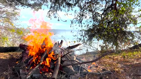 A large fire on the shore of a pond. Big beautiful bonfire during the day Stock-Footage 278466137