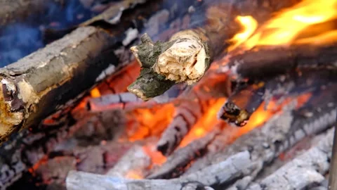 A large fire on the shore of a pond. Big beautiful bonfire during the day Stock Footage 280213707