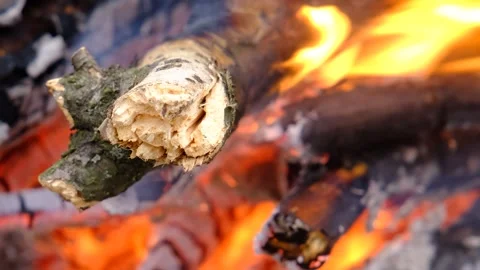 A large fire on the shore of a pond. Big beautiful bonfire during the day Stock Footage 280355083