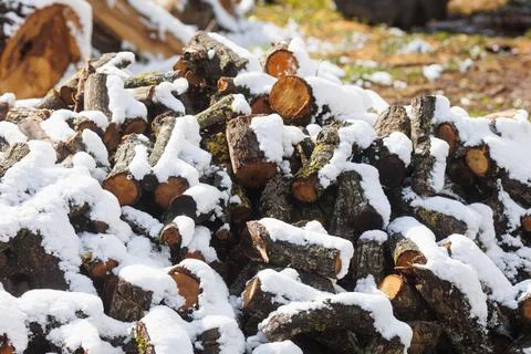 Large firewood stack in winter covered with snow Photos