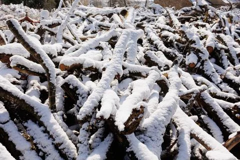 Large firewood stack in winter covered with snow Photos