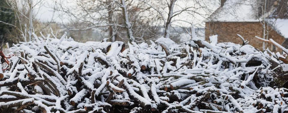 Large firewood stack in winter covered with snow 写真素材