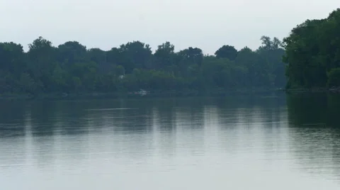 Large fish jumping up out of calm river 4k Stock Footage 54112886