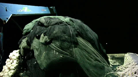 Large Fishing Net 스톡 동영상 33122454