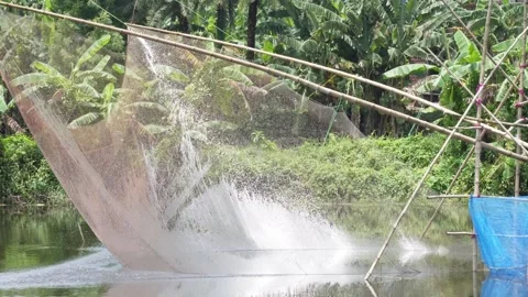 A large fishing net is pulling out from the pond Stock Footage 314513207
