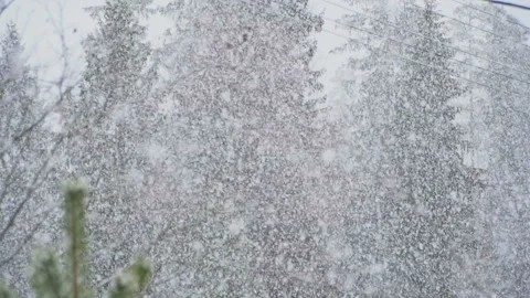 Large flackes of snow fall in slow motion Stock Footage 130121856