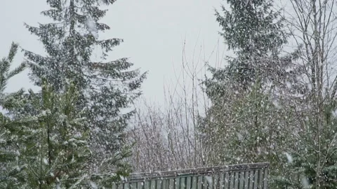 Large flackes of snow fall in slow motion Stock Footage 130122886