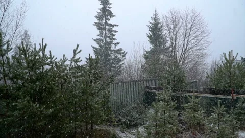 Large flackes of snow fall in slow motion Stock Footage 130125508