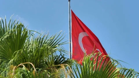Large flag of Turkey in the wind with exotic plants. Stock Footage 129221982