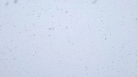 Large flakes of snow fall against a bright sky Stock Footage 171403622