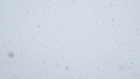 Large flakes of snow fall against a bright sky Stock Footage 172432473