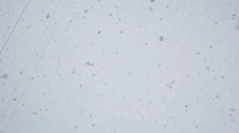 The large flakes of snow fall down Stock Footage 49628530