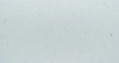 Large flakes of snow fall Vidéo 146484933
