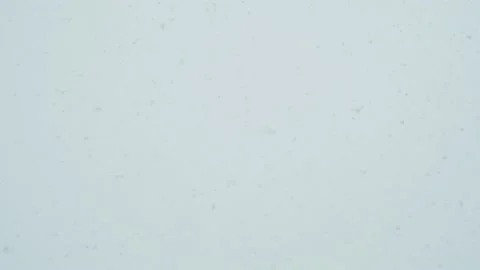 Large flakes of snow fall Stock Footage 146484961