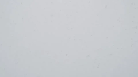 Large flakes of snow fall Stock Footage 146485018