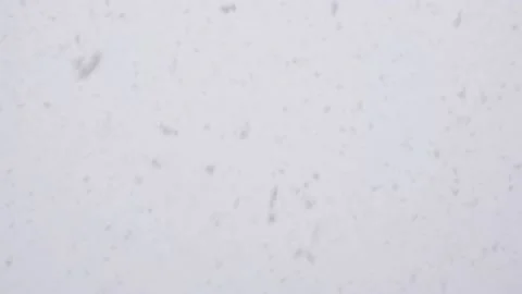 Large flakes of snow fall Stock Footage 146485041