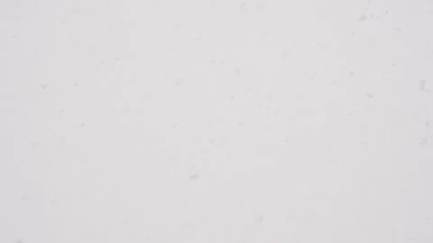 Large flakes of snow fall Vidéo 146485074