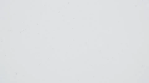 Large flakes of snow fall Stock Footage 146485238