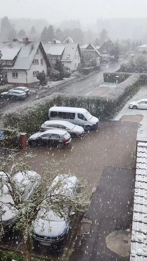 Large flakes of snow fall on a neat village in Germany. winter day Stock Footage 295562592