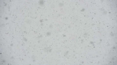 Large Flakes of Snow Video stock 48624453