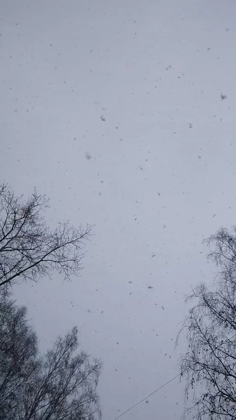 Large flakes of snow. 動画素材 154792167