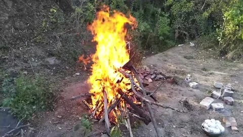 A large flame of a burning campfire Stock Footage 166051647