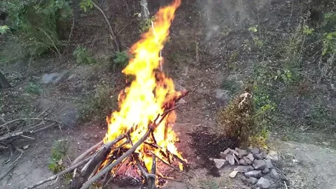 A large flame of a burning campfire Stock Footage 166051662