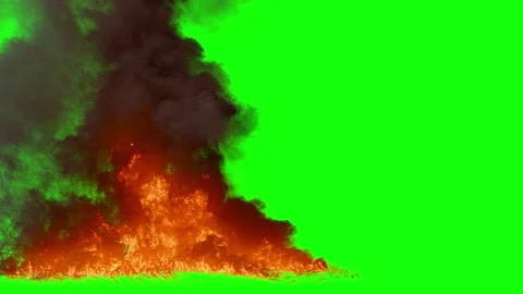 A large flame of fire and smoke on a green background 3D render Stock-Footage 261401873