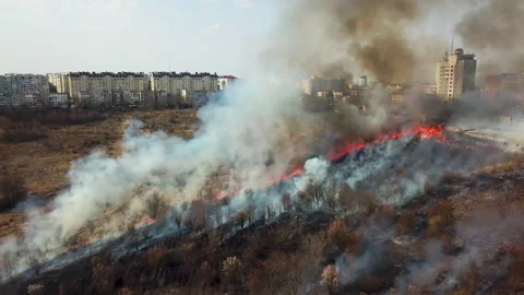 Large flames from forest fire. Aerial view forest fire on the slopes of hills. Stock Footage 175913412