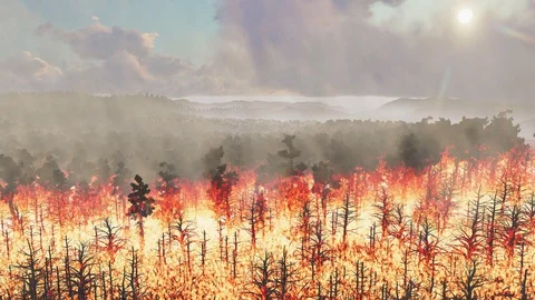 Large flames from forest fire Stock Footage 128192093