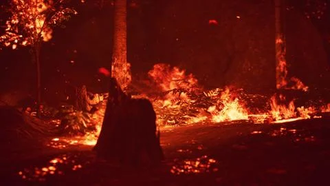 Large flames of forest fire Illustrazione stock