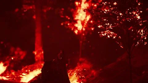Large flames of forest fire Illustrazione stock
