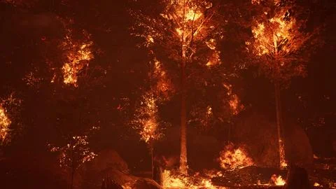 Large flames of forest fire Illustrazione stock