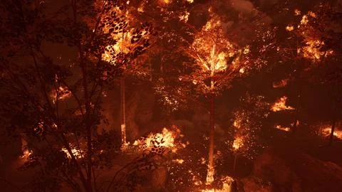 Large flames of forest fire at night Illustrazione stock