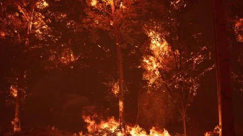 Large flames of forest fire at night Illustrazione stock