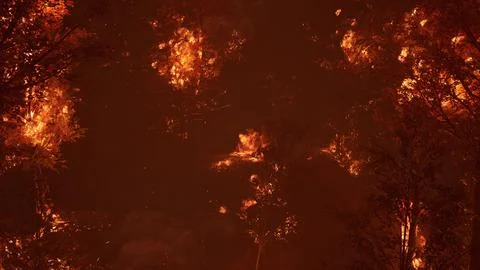 Large flames of forest fire at night Illustrazione stock