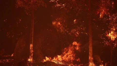 Large flames of forest fire at night Illustrazione stock