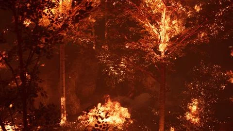 Large flames of forest fire at night Illustrazione stock