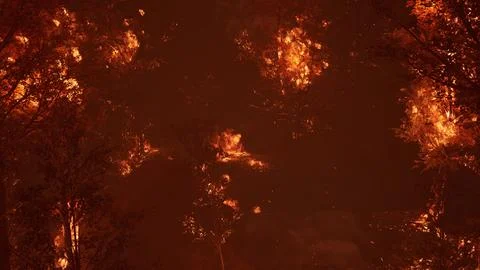 Large flames of forest fire at night Illustrazione stock