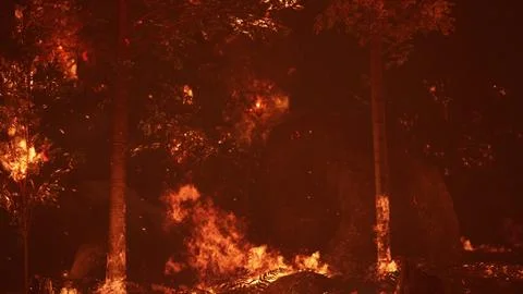 Large flames of forest fire at night Illustrazione stock