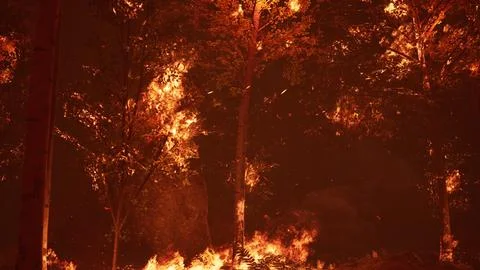 Large flames of forest fire at night Illustrazione stock